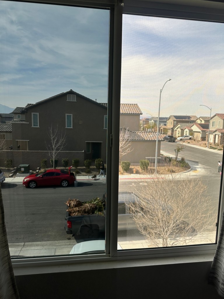 Professional residential window tinting service enhancing privacy, reducing glare, and improving energy efficiency